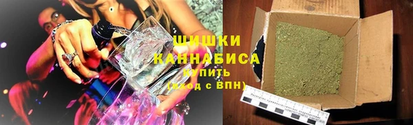 стаф Алагир