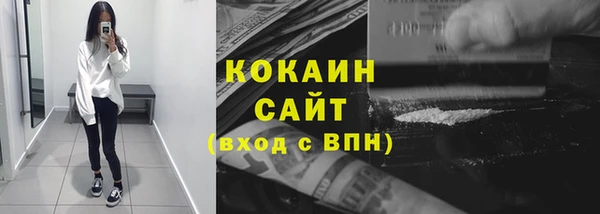 тгк Абаза