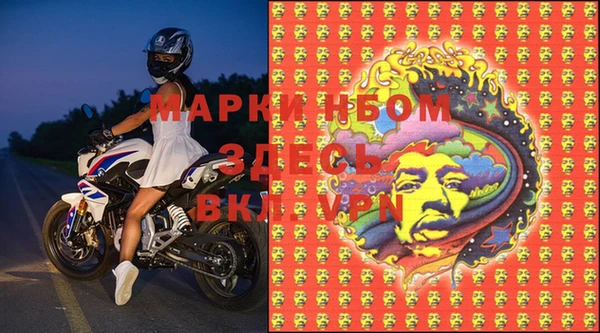 стаф Алагир