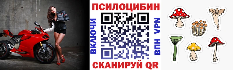 Галлюциногенные грибы GOLDEN TEACHER Зверево